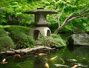 japanese-gardens